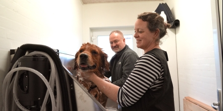 Hjemmeside, webshop og bookingFlintbjerg Hundepension